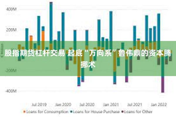 股指期货杠杆交易 起底“万向系”鲁伟鼎的资本腾挪术