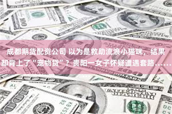 成都期货配资公司 以为是救助流浪小猫咪，结果却背上了“宠物贷”？贵阳一女子怀疑遭遇套路……