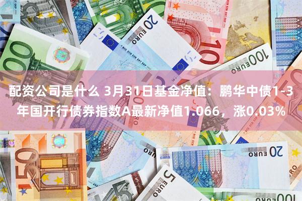配资公司是什么 3月31日基金净值：鹏华中债1-3年国开行债券指数A最新净值1.066，涨0.03%
