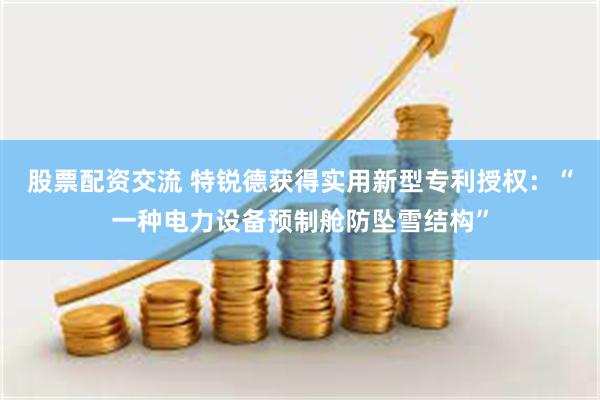 股票配资交流 特锐德获得实用新型专利授权：“一种电力设备预制舱防坠雪结构”