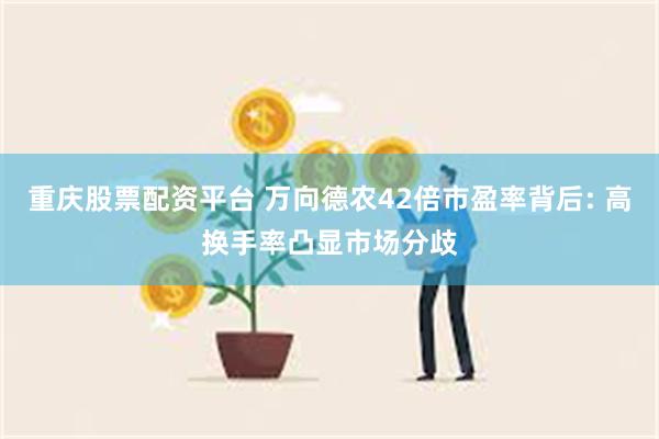 重庆股票配资平台 万向德农42倍市盈率背后: 高换手率凸显市场分歧