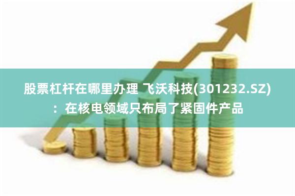 股票杠杆在哪里办理 飞沃科技(301232.SZ)：在核电领域只布局了紧固件产品