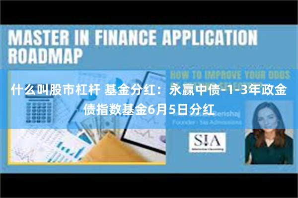 什么叫股市杠杆 基金分红：永赢中债-1-3年政金债指数基金6月5日分红