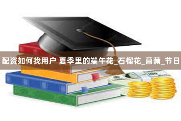 配资如何找用户 夏季里的端午花_石榴花_菖蒲_节日