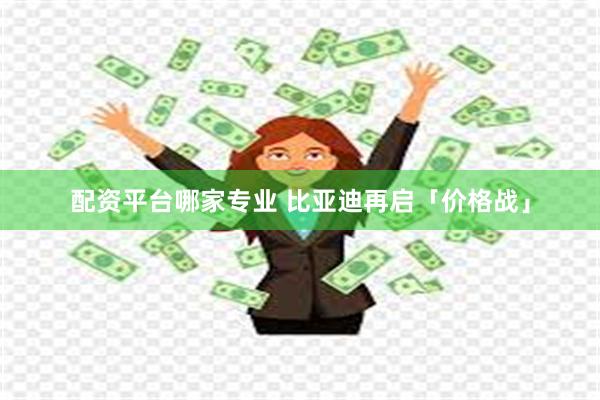 配资平台哪家专业 比亚迪再启「价格战」