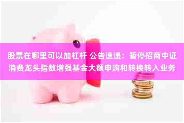 股票在哪里可以加杠杆 公告速递：暂停招商中证消费龙头指数增强基金大额申购和转换转入业务